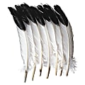 Creativity Street Imitation Eagle Feathers - Decoration, Art Project, Craft Project - 5"12" - 12 / Pack