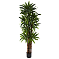 Nearly Natural Dracaena 78”H Plastic Tree With Pot, 78”H x 30”W x 30”D, Green