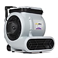 ProTeam ProBlitz XP 3-Speed AirMover With Telescoping Handle And Daisy Chain, 19-1/2”H x 20”W x 16-1/2”D, Gray/Purple