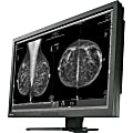 Eizo RadiForce GX1030CL 30" LCD Monitor - 35 ms 1 thumbnail image