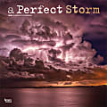 2025 BrownTrout A Perfect Storm Monthly Plastic-Free Square Wall Calendar, 12" x 12", Science and Nature, January to December 2025, 9781975474416 1 thumbnail image