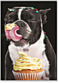 Viabella Fun Birthday Greeting Card With Envelope, Dog Kisses, 5" x 7"