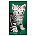 2023-2024 TF Publishing 2-Year Monthly Pocket Planner, 6-1/2" x 3-1/2", Kittens, January 2023 To December 2024 