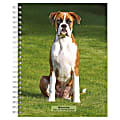 2023-2024 BrownTrout 16-Month Weekly/Monthly Engagement Planner, 7-3/4" x 7-3/16", Boxers International Edition, September To December