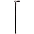 Brazos Walking Sticks™ Free Form Iron Bamboo Walking Cane, 40", Black