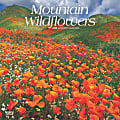 2025 BrownTrout Mountain Wildflowers Monthly Plastic-Free Square Wall Calendar, 12" x 12", America Regional, January to December 2025, 9781975476038 1 thumbnail image