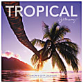 Landmark® Tropical Getaway® Monthly Wall Calendar, 12" x 12 ", January to December 2019