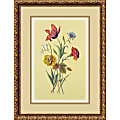 Amanti Art Botanical Bouquet I Framed Art Print, 21 15/16"H x 16 11/16"W, Antique Bronze