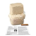 AMACO Magic Mud Multi-Project Pack, 25 Lb, Cream 1 thumbnail image