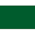 Tape Logic® Write™On Inventory Labels, DL630D, Rectangle, 3" x 2", Green, Roll Of 500 1 thumbnail image