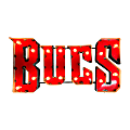 Imperial NFL Lighted Metal Sign, 12" x 24", 90% Recycled, Tampa Bay Buccaneers 1 thumbnail image