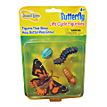 Insect Lore Butterfly Life Cycle Stages, Pre-K - Grade 6 1 thumbnail image