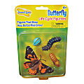 Insect Lore Butterfly Life Cycle Stages, Pre-K - Grade 6