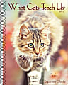 Willow Creek Press Weekly Engagement Calendar, 8-1/2" x 6-1/2", FSC® Certified, Cats, January To December 2021 1 thumbnail image