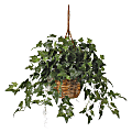 Nearly Natural 26"H Silk English Ivy Hanging Basket 1 thumbnail image