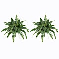Nearly Natural 15"H Polyester Boston Fern Plants, Green, Set Of 2 Plants 1 thumbnail image