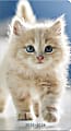 2025-2026 DateWorks Monthly Pocket Planner, 3-1/2" x 6-1/2", Kittens, January To December 1 thumbnail image