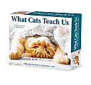 2024 Willow Creek Press Page-A-Day Daily Desk Calendar, 5" x 6", What Cats Teach Us, January To December