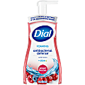 Dial® Antibacterial Foaming Hand Wash, Power Berries Scent, 10 oz, 8/Carton