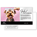 10pt, White Semi-Gloss, Printed 2 Sides Custom Full-Color Postcards, 6" x 11" , Box Of 50