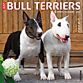 2024 Willow Creek Press Animals Monthly Wall Calendar, 12" x 12", Just Bull Terriers, January To December