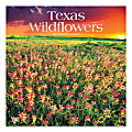 Brown Trout Regional Monthly Wall Calendar, 12" x 12", Texas Wildflowers, January To December 2021