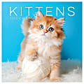 2025 TF Publishing Animals Wall Calendar, 12" x 12", Kittens, January To December 1 thumbnail image