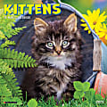 2025 Willow Creek Press Mini Wall Calendar, 7” x 7”, Kittens, January 2025 To December 2025, 45848 1 thumbnail image