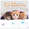 2025 TF Publishing Animals Mini Calendar, 7" x 7", Kittens, January To December