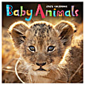 2025 TF Publishing Monthly Wall Calendar, 12” x 12”, Baby Animals, January 2025 To December 2025 1 thumbnail image