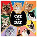 2025 TF Publishing Monthly Wall Calendar, 12” x 12”, Cat-A-Day, January 2025 To December 2025