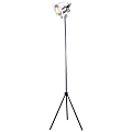 Adesso® Spotlight Floor Lamp, 61", Black/Chrome