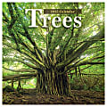 2025 TF Publishing Monthly Wall Calendar, 12” x 12”, Trees, January 2025 To December 2025 1 thumbnail image