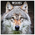 2025 TF Publishing Monthly Wall Calendar, 12” x 12”, Wolves, January 2025 To December 2025