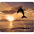 Fellowes Recycled Optical Mouse Pad - Dolphin Jumping - Dolphin Jumping - 0.1" x 9" x 8" Dimension - Multicolor - Rubber Base - Skid Proof