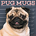 2024 Willow Creek Press Animals Monthly Wall Calendar, 12" x 12", Pug Mugs, January To December