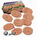 Yellow Door Let's Investigate Dinosaur Footprints, Pack Of 8 Stones 1 thumbnail image