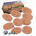 Yellow Door Let's Investigate Dinosaur Footprints, Pack Of 8 Stones