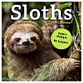 2025 TF Publishing Monthly Wall Calendar, 12” x 12”, Sloths, January 2025 To December 2025 1 thumbnail image