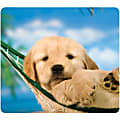Fellowes Recycled Optical Mouse Pad - Puppy - 8" x 9" x 0.06" Dimension - Multicolor - Rubber - Skid Proof - 1 Pack 1 thumbnail image