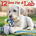 Willow Creek Press 2024 Animals Monthly Wall Calendar, 12" x 12", 12 Uses For A Lab, January To December 1 thumbnail image
