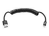 Tripp Lite 4ft Lightning USB/Sync Charge Coiled Cable  - M100004COILBK 1 thumbnail image
