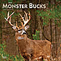 Brown Trout Animals Monthly Wall Calendar, 12" x 12", Monster Bucks, January To December 2023