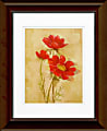 Timeless Frames Katrina Framed Floral Artwork, 11" x 14", Brown, Spicy Red Cosmos