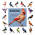 2025 TF Publishing Monthly Wall Calendar, 12” x 12”, Birds: Backyard And Beyond, January 2025 To December 2025
