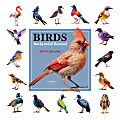 2025 TF Publishing Monthly Wall Calendar, 12” x 12”, Birds: Backyard And Beyond, January 2025 To December 2025 1 thumbnail image