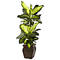 Nearly Natural 45"H Plastic Golden Dieffenbachia With Planter 1 thumbnail image