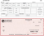 Continuous Payroll Checks For RealWorld®, 9 1/2" x 7", Box Of 250, CP49, Bottom Voucher