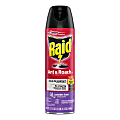 Raid Ant & Roach Killer, 17.5-Oz Spray 1 thumbnail image