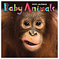 2025 TF Publishing Monthly Mini Wall Calendar, 7” x 7”, Baby Animals, January 2025 to December 2025.